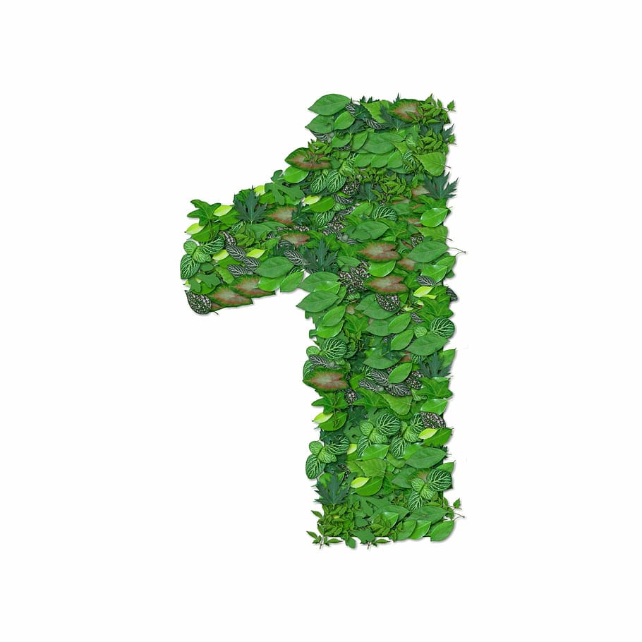 Number 1 made out of leaves, digit, first, public domain, alphabet