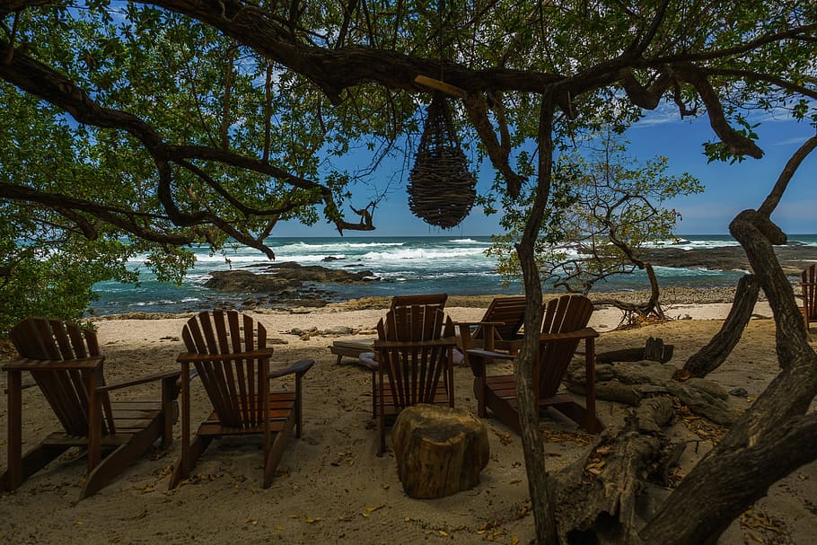empty brown Adirondack chairs under tree, Beach, Tropical, Costa Rica