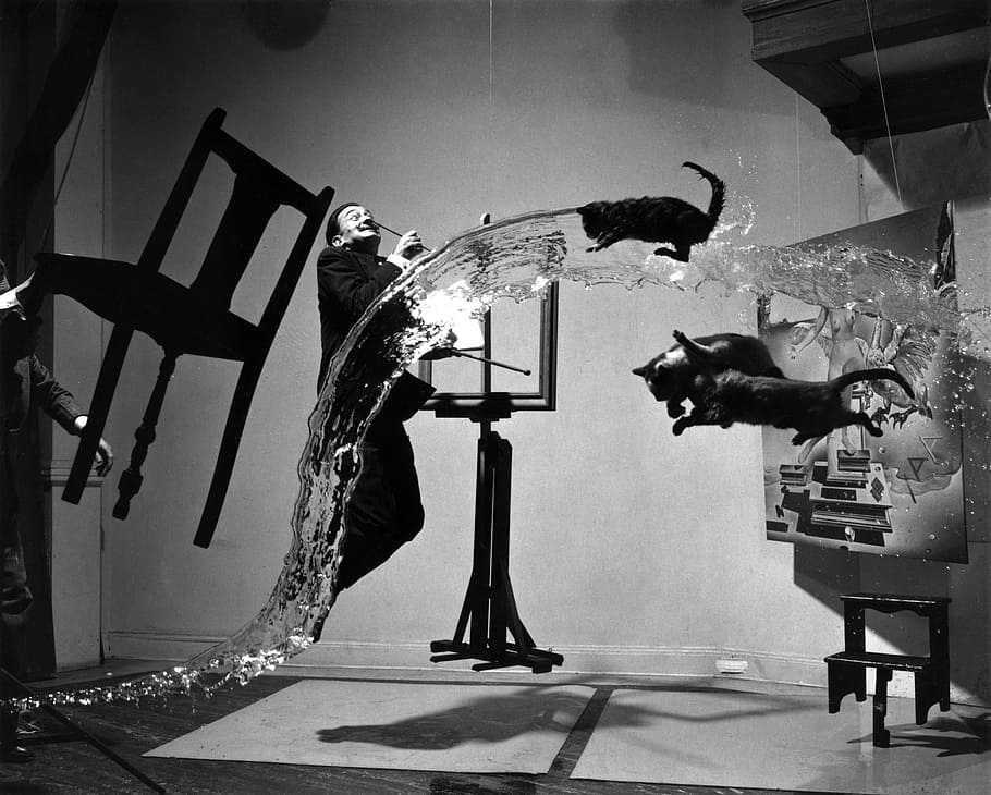 person and animals floating in greyscale photography, salvador dalí
