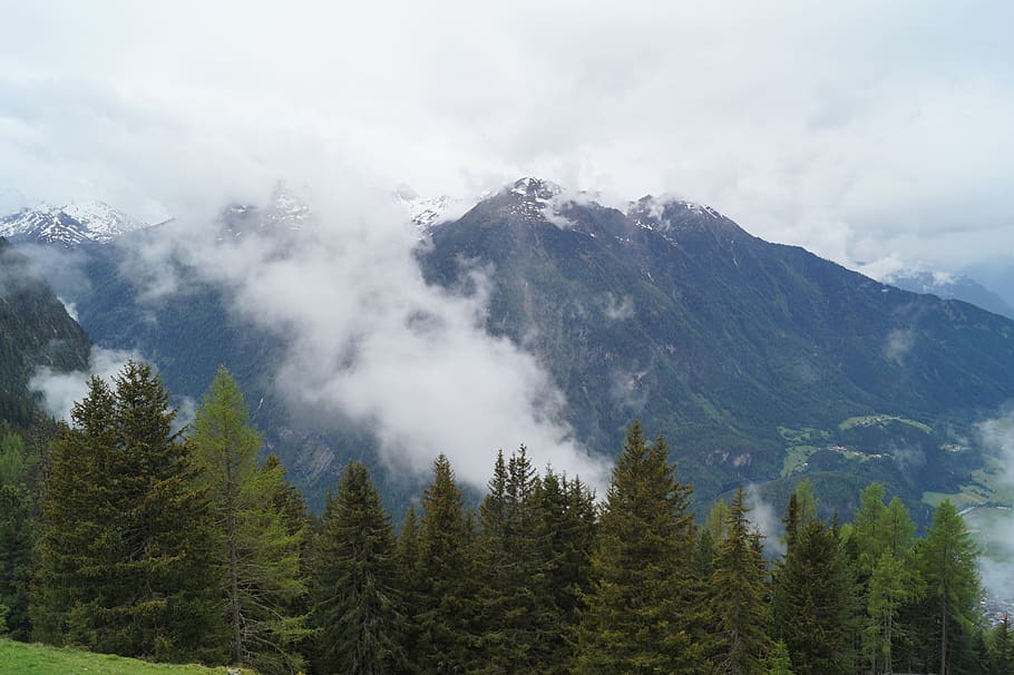 vacations, austria, mountains, alpine, beauty in nature, tree HD wallpaper