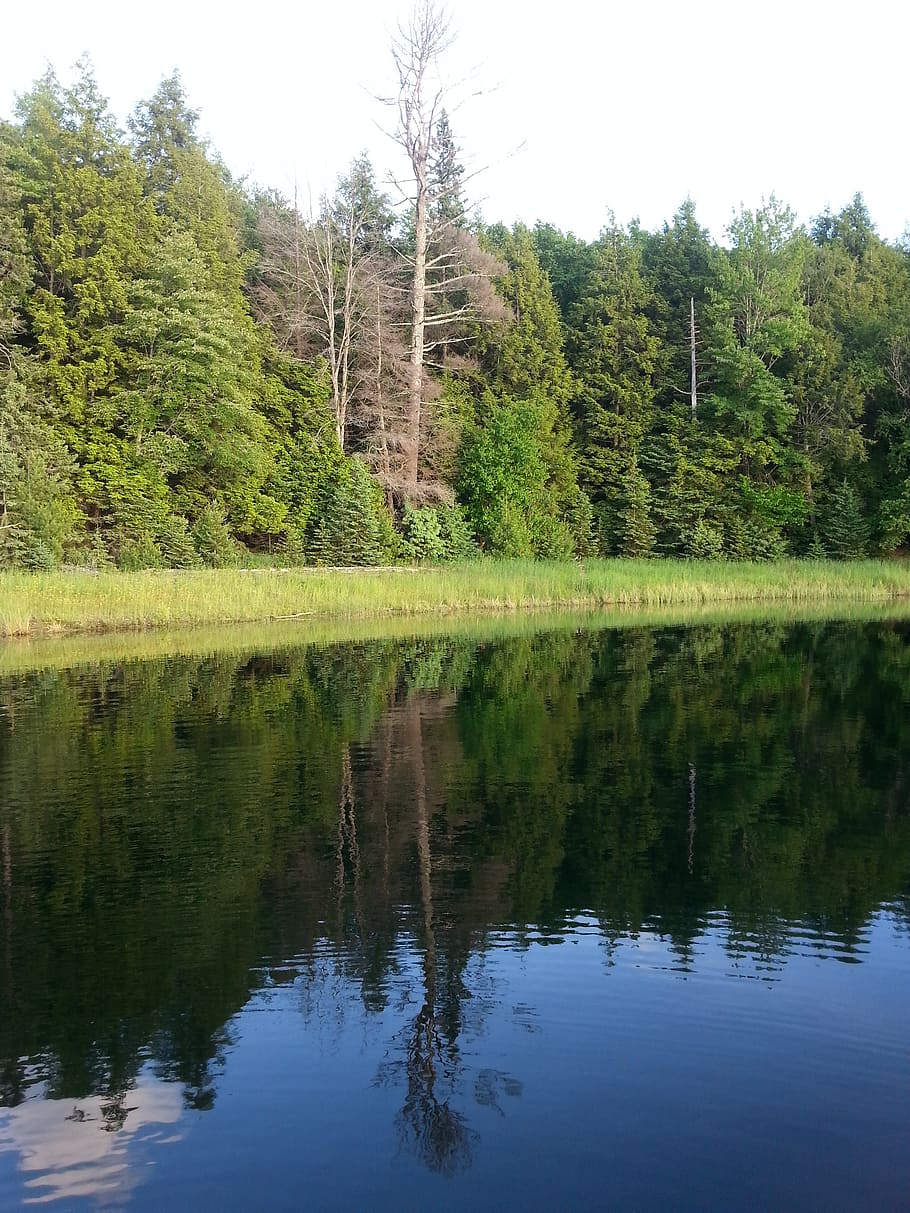 lake, reflection, shore, landscape, nature, scenic, beautiful HD wallpaper