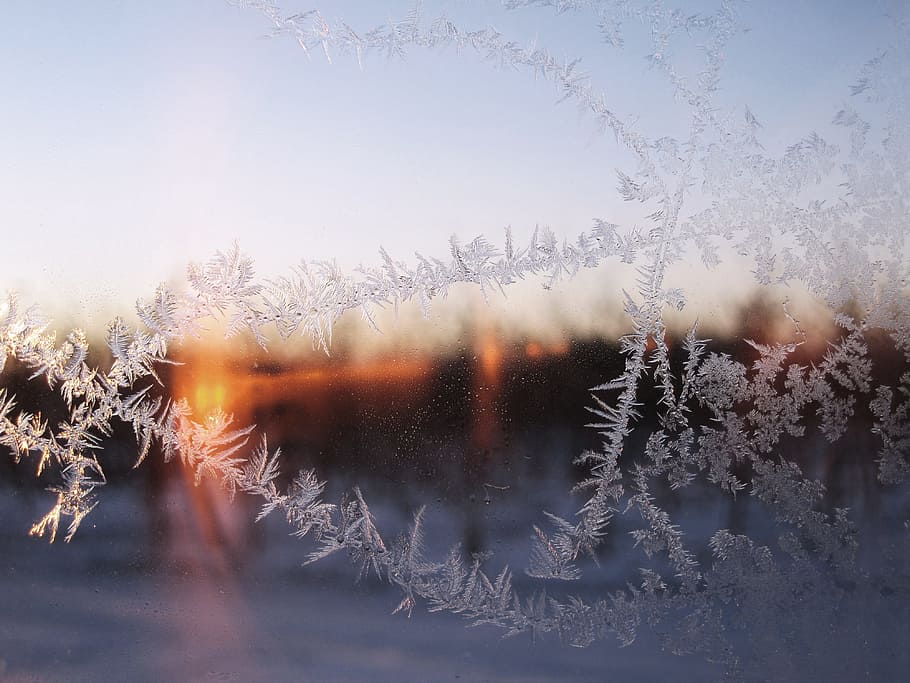 cold, snow, dawn, winter, fog, frost, glass, ice, season, window, HD wallpaper