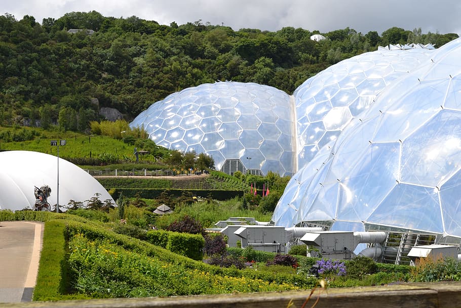 Eden, Project, Cornwall, Environment, ecology, england, conservation, HD wallpaper