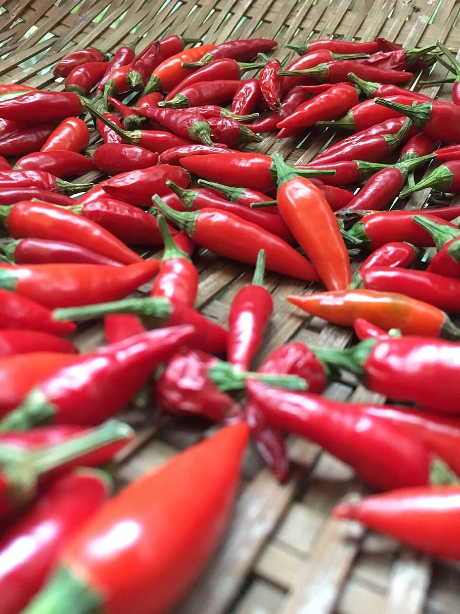 vegetable, red pepper, large group of objects, chili pepper HD wallpaper