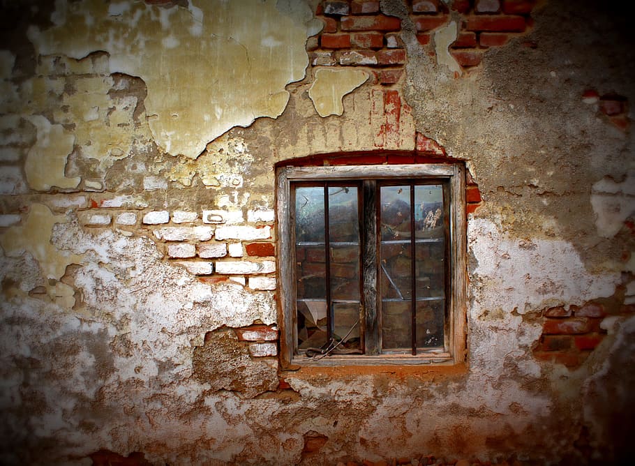 close up photo of close glass window, wall, stone, ruin, walls HD wallpaper