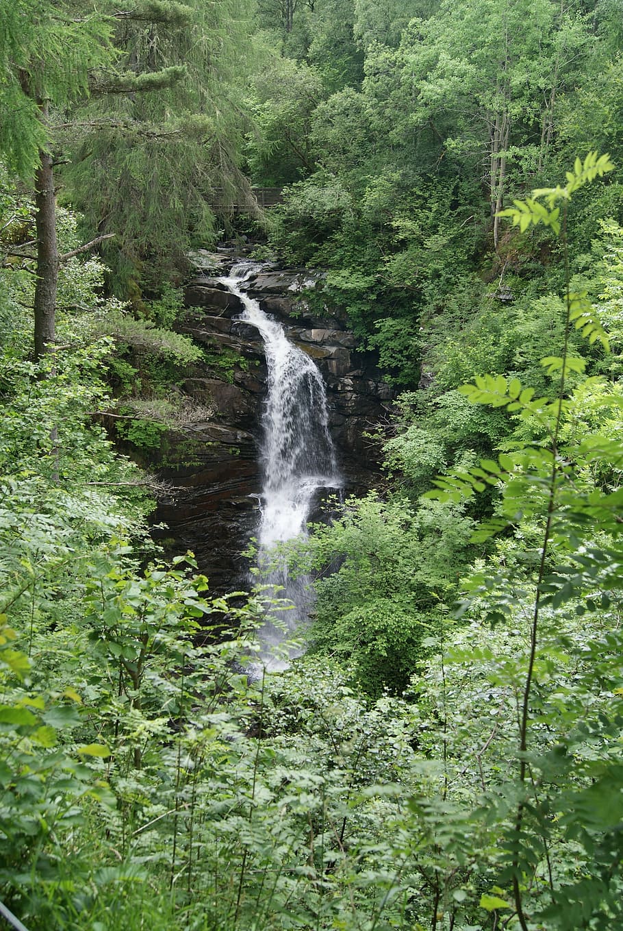 waterfall, scotland, nature, plant, tree, beauty in nature HD wallpaper