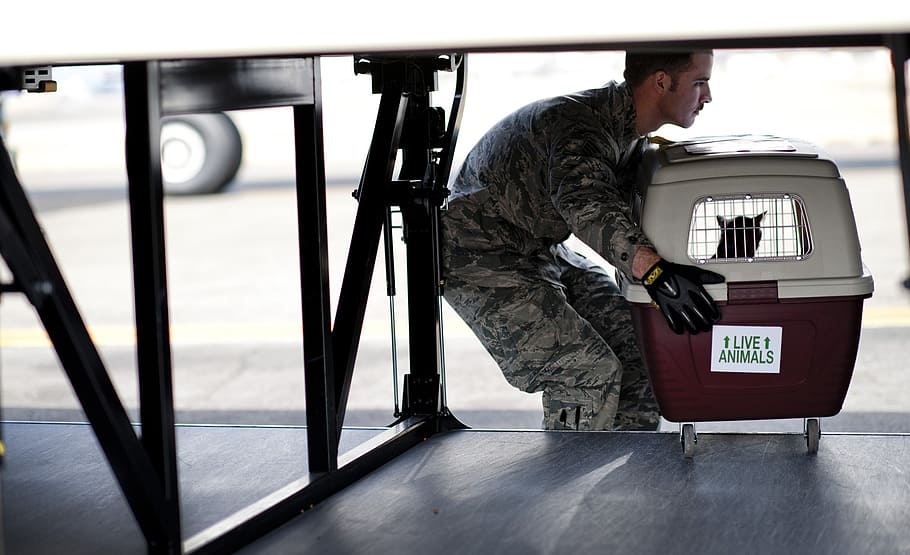 soldier lifting up red and white pet carrier, loading, cargo HD wallpaper