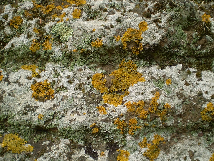 stone, structure, rock, background, texture, nature, surface HD wallpaper