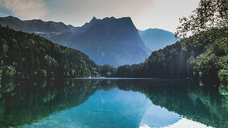 body of water near trees, river surrounded by trees with fogs HD wallpaper