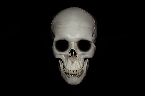 gray skull decor, anatomy, background, body, bone, brain, cranium HD wallpaper