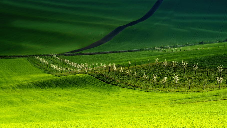 landscape photography of green field, moravia, south moravia, HD wallpaper