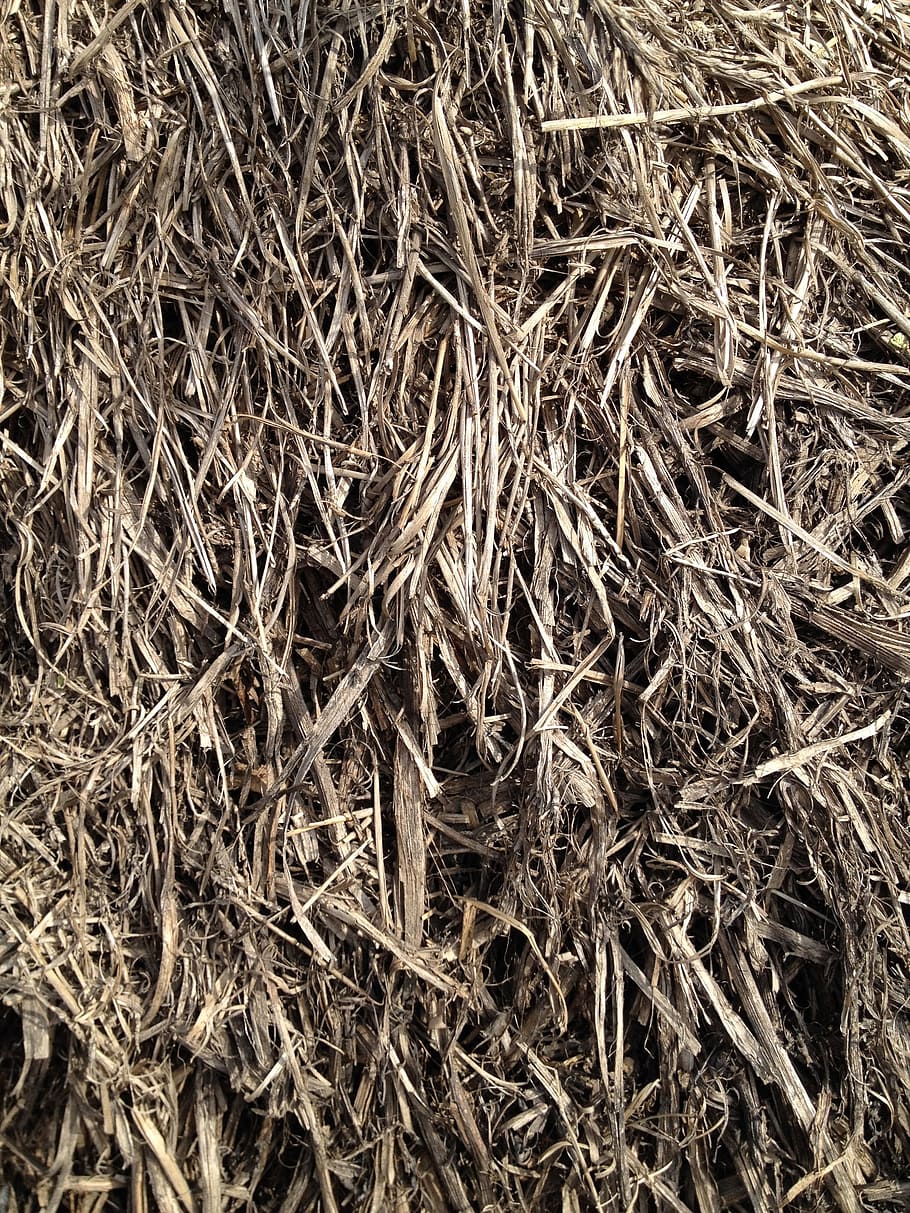 straw, grain, grass, hay, bale, haystack, nature, agriculture HD wallpaper