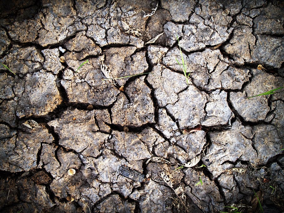 landscape, earth, dry, pattern, clay, close-up, cracks, daylight HD wallpaper