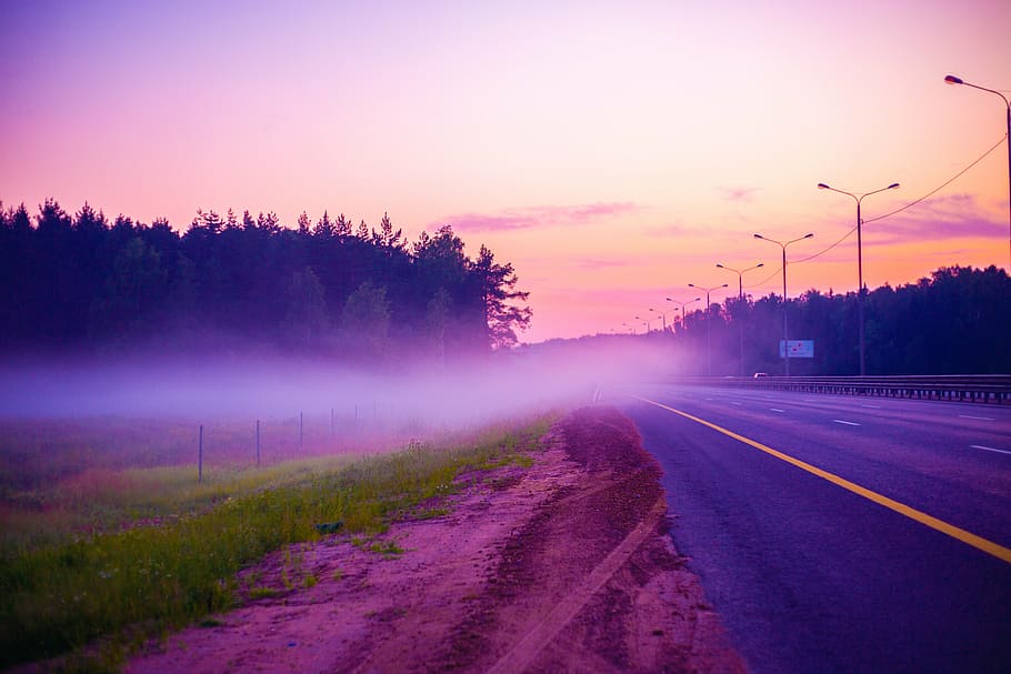 green grass near street, fog, road, mkad, motion, the way, nature HD wallpaper