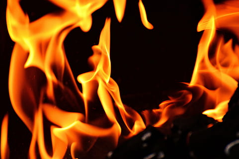 macro photography of flame, fire, carbon, charcoal, embers HD wallpaper