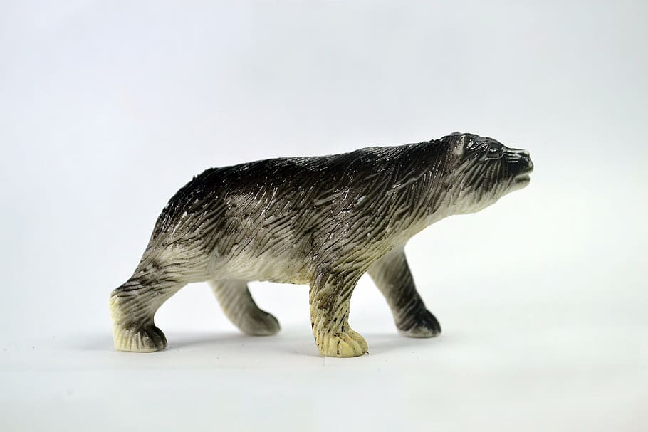 bear, walk, toy, icon, fauna, wild, grey, one, animal, animal themes HD wallpaper