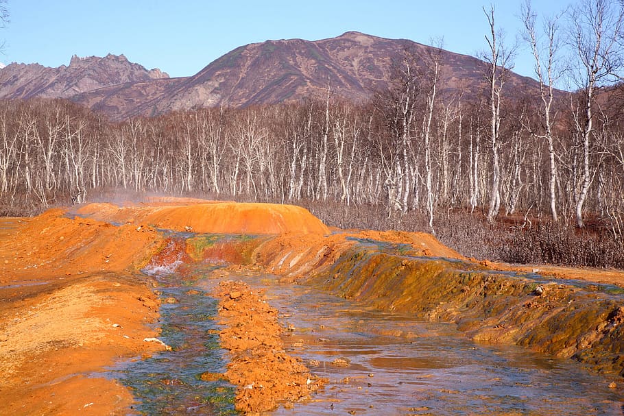 hot spring, forest, mountains, boiling water, silence, kamchatka HD wallpaper