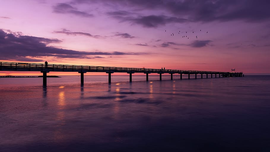 silhouette photography of flock of flying birds above dock HD wallpaper