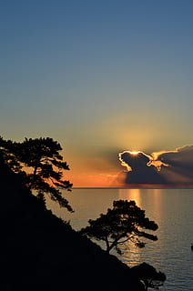 silhouette of trees overlooking body of water under blue sky during daytime HD wallpaper