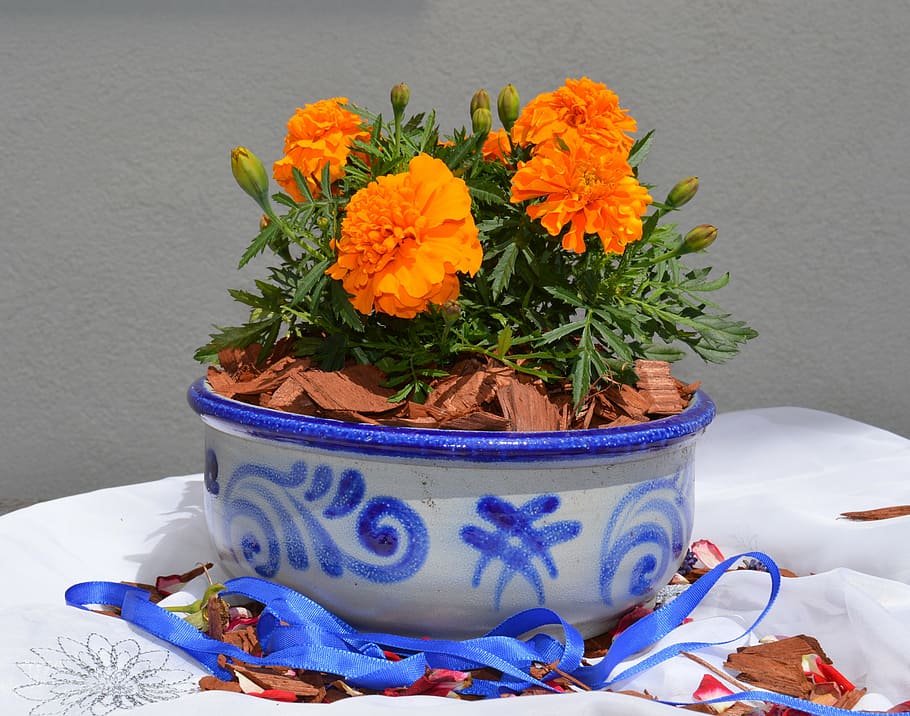 earthenware, ceramic, grey, blue, pottery, pattern, flower HD wallpaper