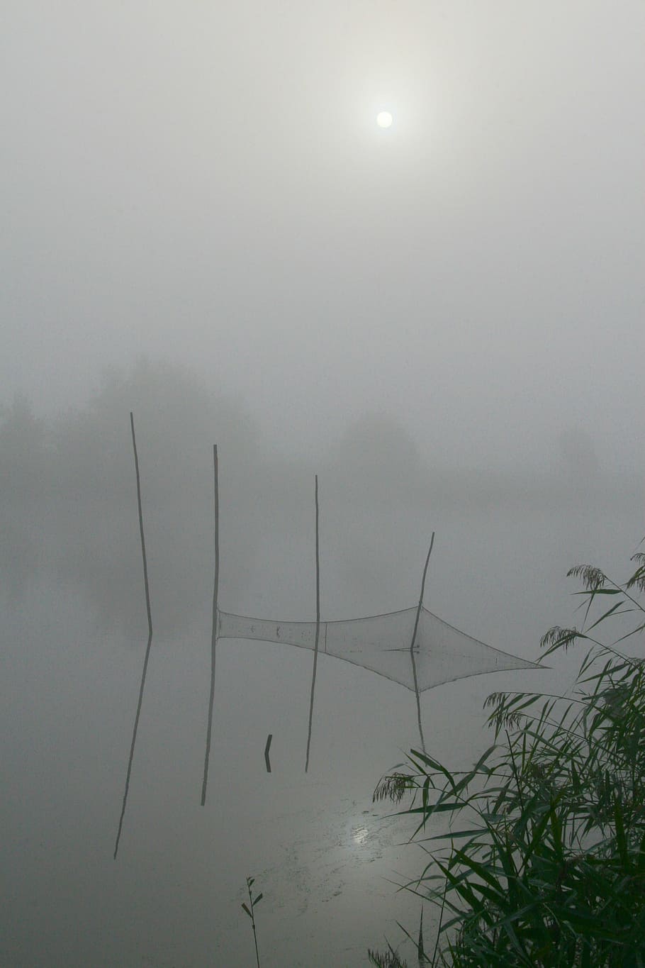 fog, water, fishnet, beauty in nature, plant, sky, scenics - nature HD wallpaper