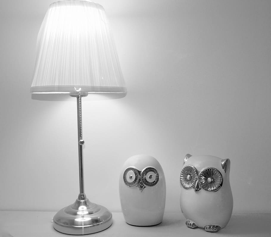 owl, owls, animals, forest, curiosity, object, collection, decoration HD wallpaper