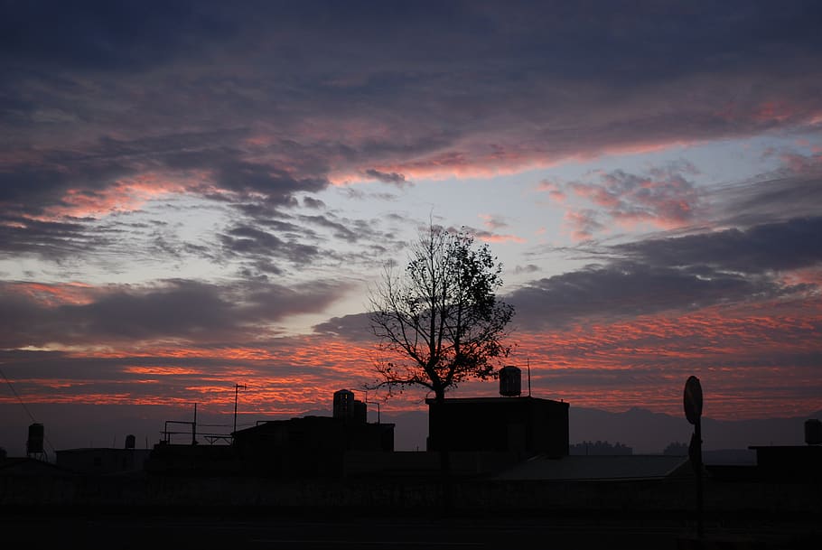 shadow, reflection, sky, building, the scenery, tree, taiwan HD wallpaper