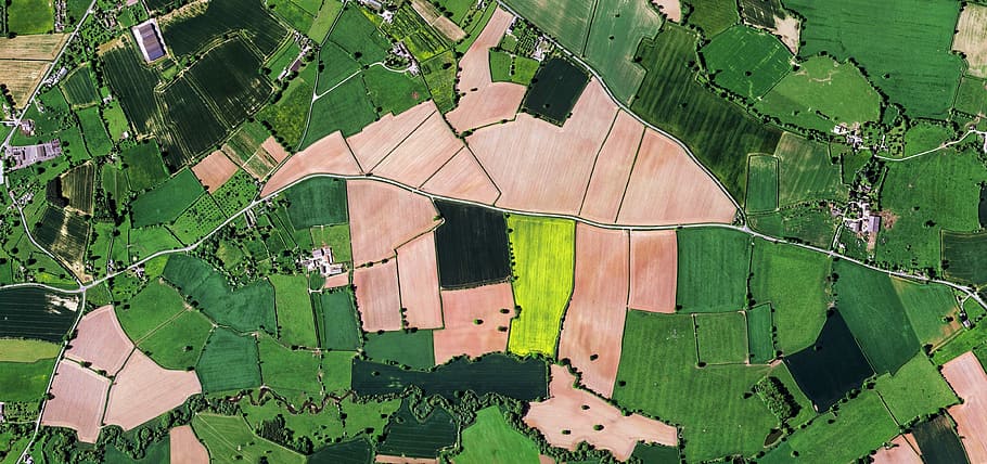 aerial view of green and black fields, aerial photography of forest HD wallpaper
