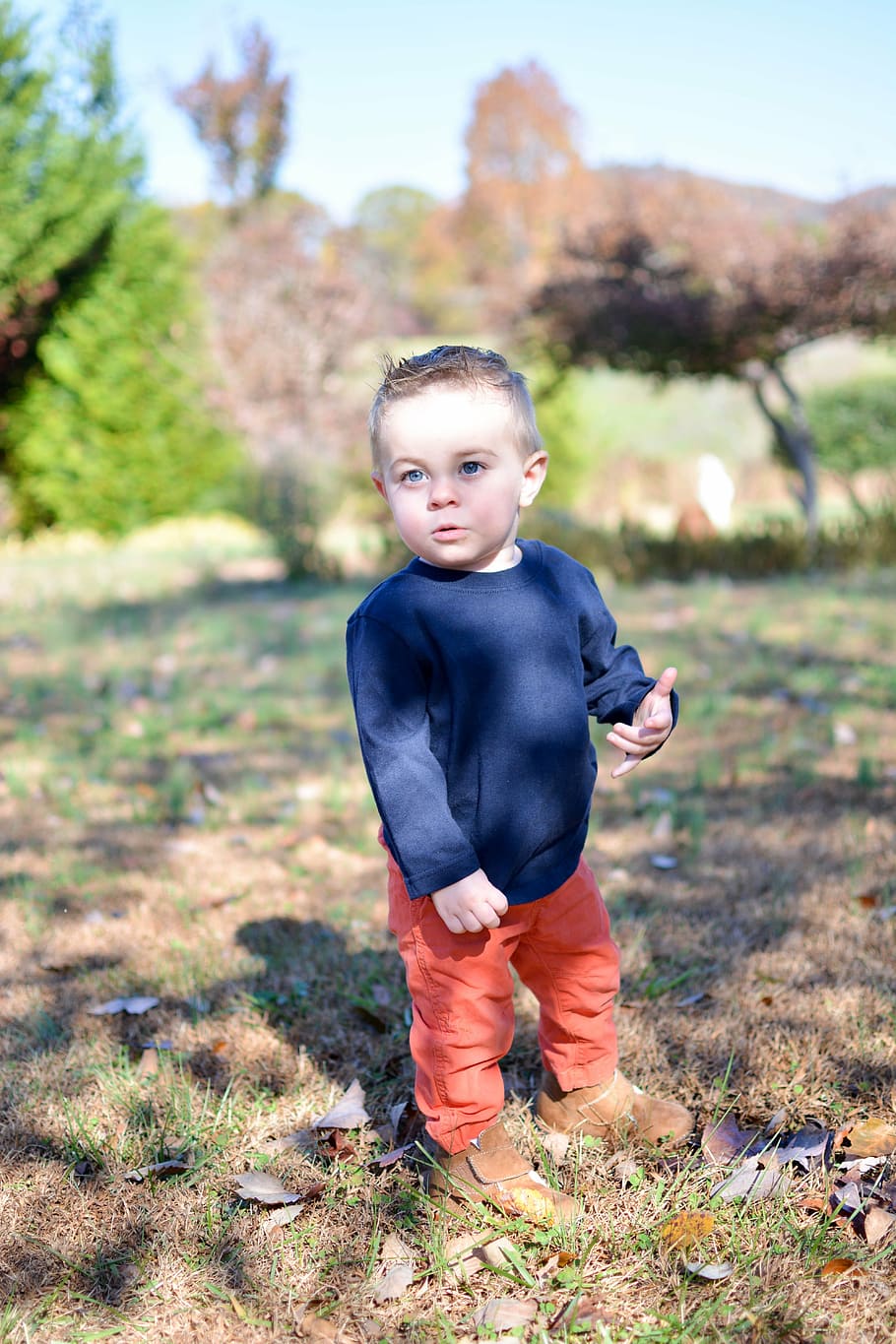 boy, toddler, cute, child, kid, happy, baby, childhood, people HD wallpaper