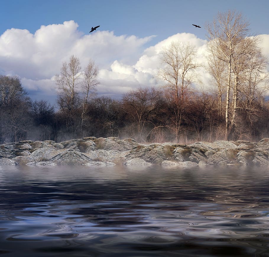 landscape photography of body of water near rocks and trees HD wallpaper