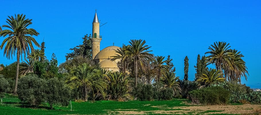 castle surrounded by green trees, cyprus, larnaca, mosque, architecture HD wallpaper
