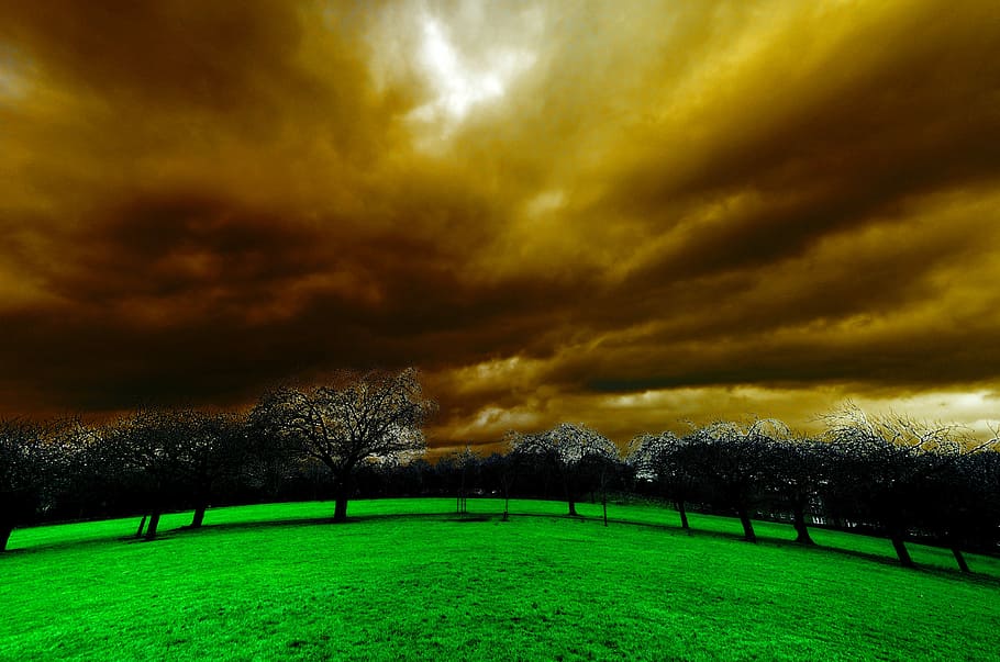 Light Effect with clouds over grass and trees, photos, public domain HD wallpaper