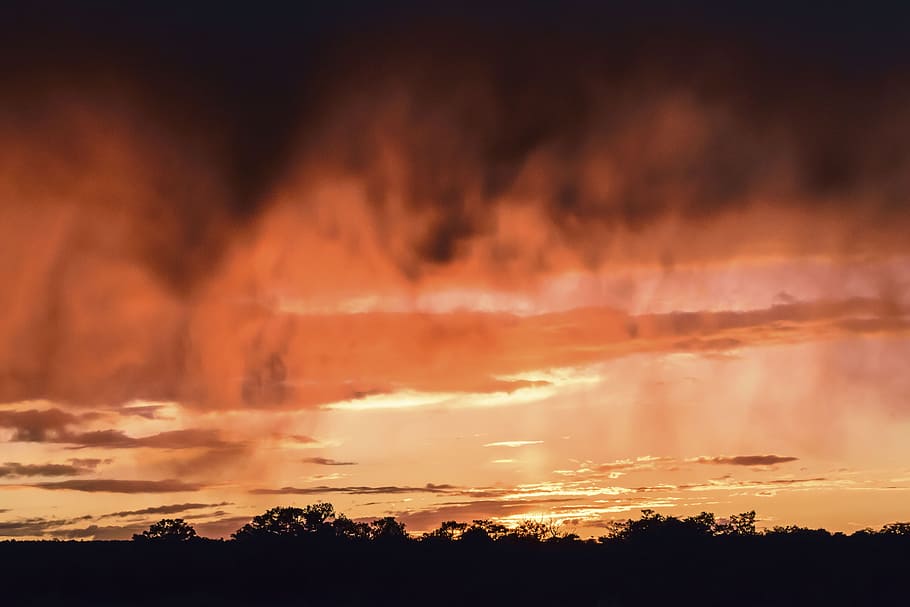 nature, landscape, sunset, clouds, sky, woods, forest, trees HD wallpaper