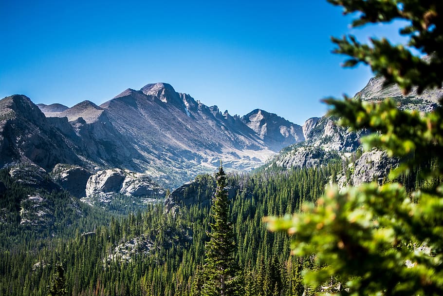 green trees and snow coered mountains, tall trees near mountain during daytime HD wallpaper