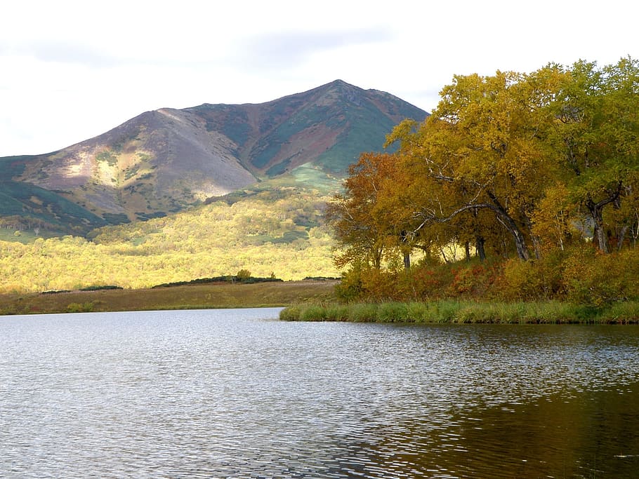 lake, mountains, tundra, river, forest, duct, autumn, swamp HD wallpaper