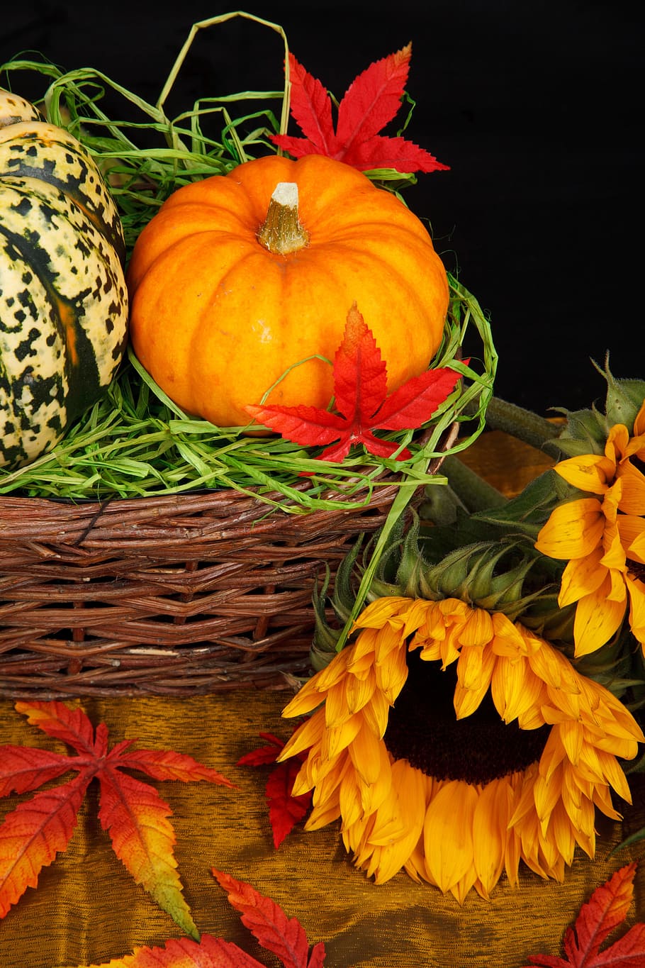 orange squash and white and green squash on top of brown wicker basket, HD wallpaper