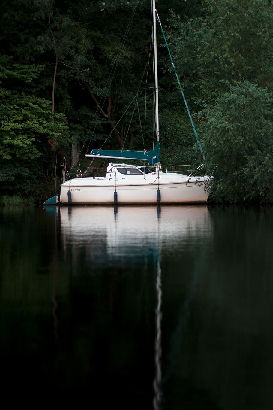 white and green motorboat on body of water, white and blue boat besides green trees at daytime HD wallpaper