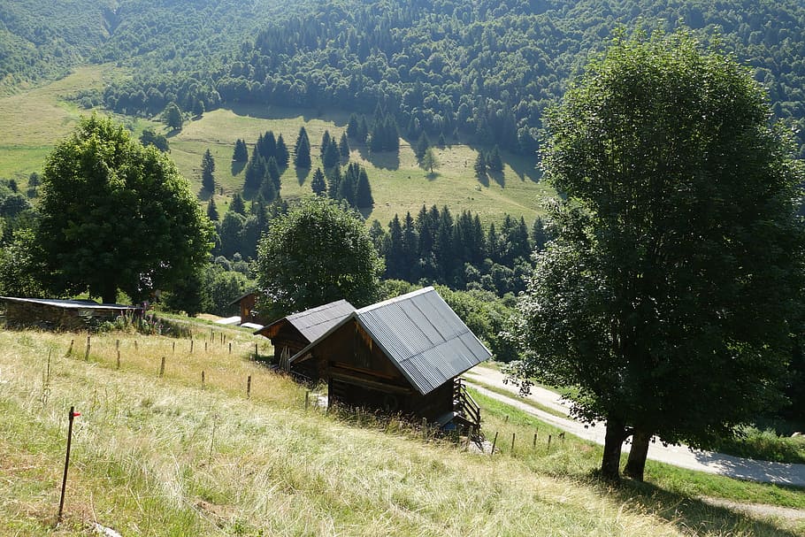 mountain, chalet, alps, rustic, hautes alpes, facade, architecture HD wallpaper