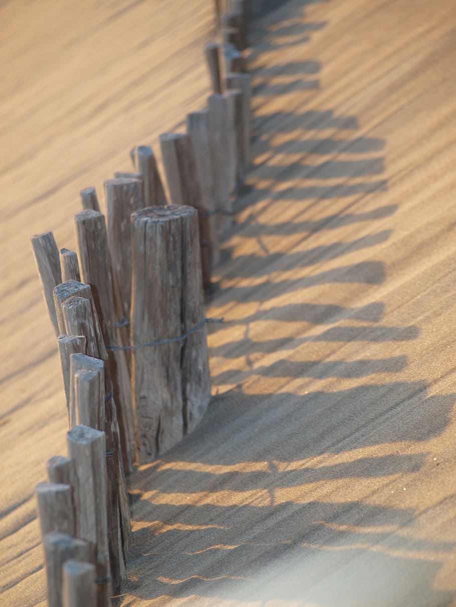 border, blank, beach, wood - material, no people, shadow, sunlight HD wallpaper