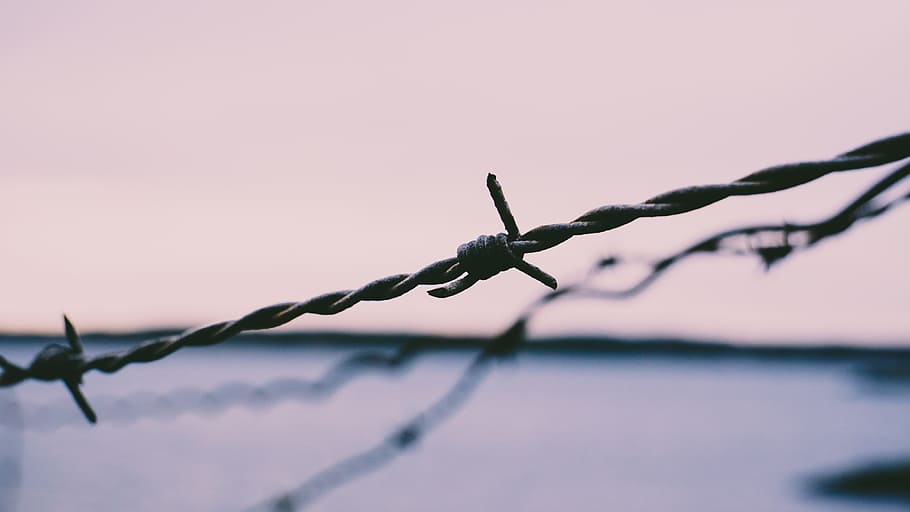 barb wires, security, sharp, fence, protection, barbed wire HD wallpaper