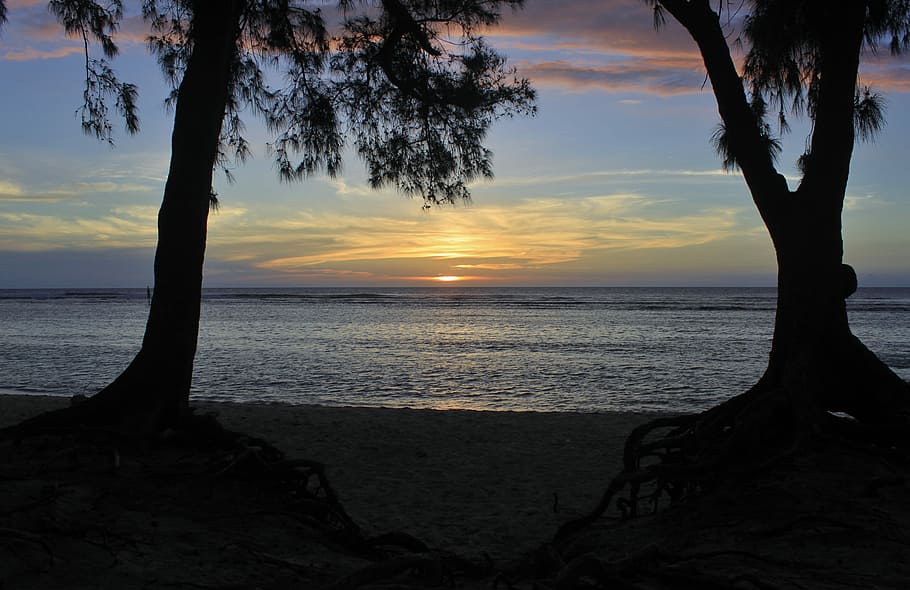 Sunset, Meeting, Ocean, tree, silhouette, scenics, tranquility HD wallpaper