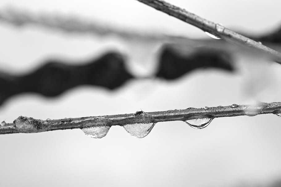 drop, ice, water, focus on foreground, safety, fence, no people HD wallpaper