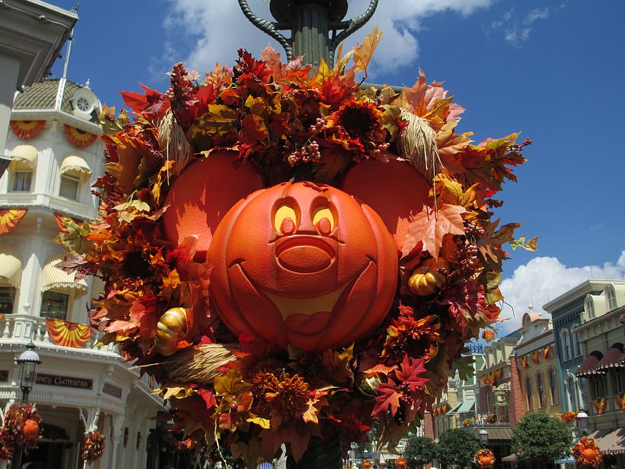 autumn, fall, wreath, orange, season, thanksgiving, decoration HD wallpaper