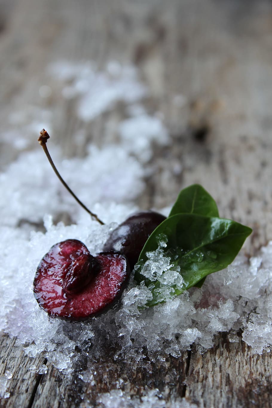 Close-up of Frozen Leaf, berries, berry, blur, cherry, close -up HD wallpaper