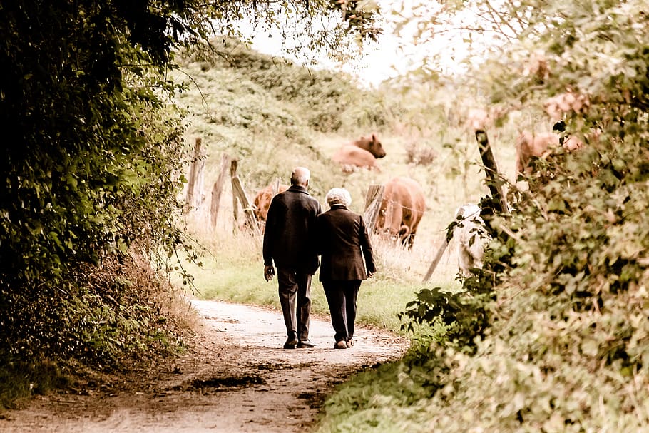 couple walking on street during daytime, pair, seniors, pensioners, HD wallpaper