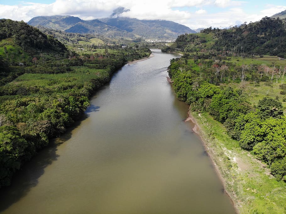river, amazon, landscape, water, plant, tranquility, scenics - nature HD wallpaper