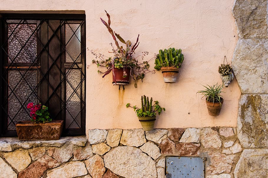 window, cactus, plants, house, pot, decoration, home, green HD wallpaper