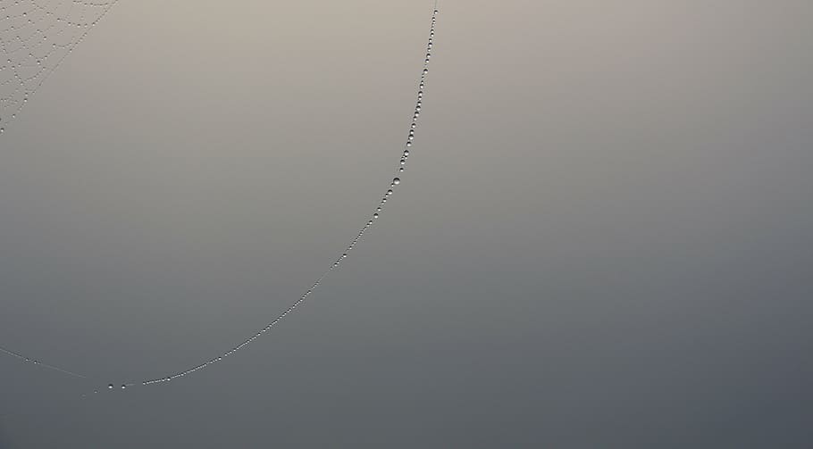 dew, fog, cobweb, no people, close-up, metal, backgrounds, silver colored HD wallpaper