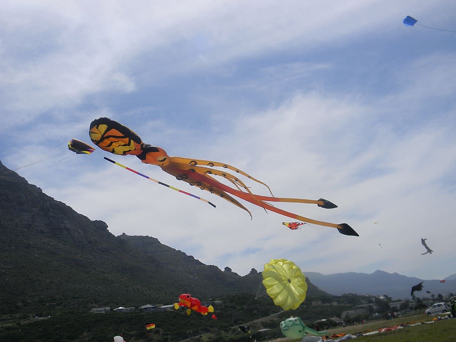 Kites, Nature, Environment, flying, sky, mid-air, outdoors HD wallpaper