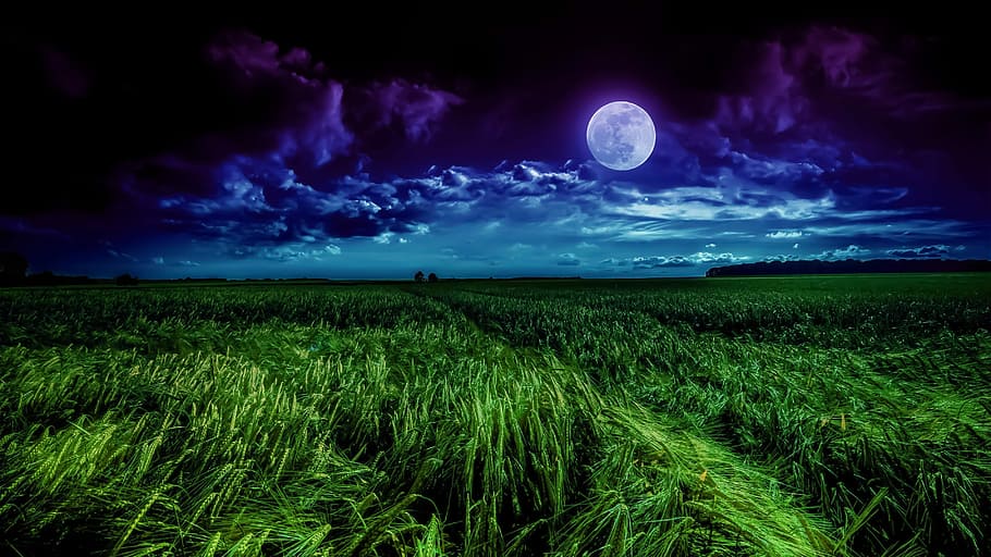 photo of full moon, nature, sky, cloud, landscape, field, environment HD wallpaper
